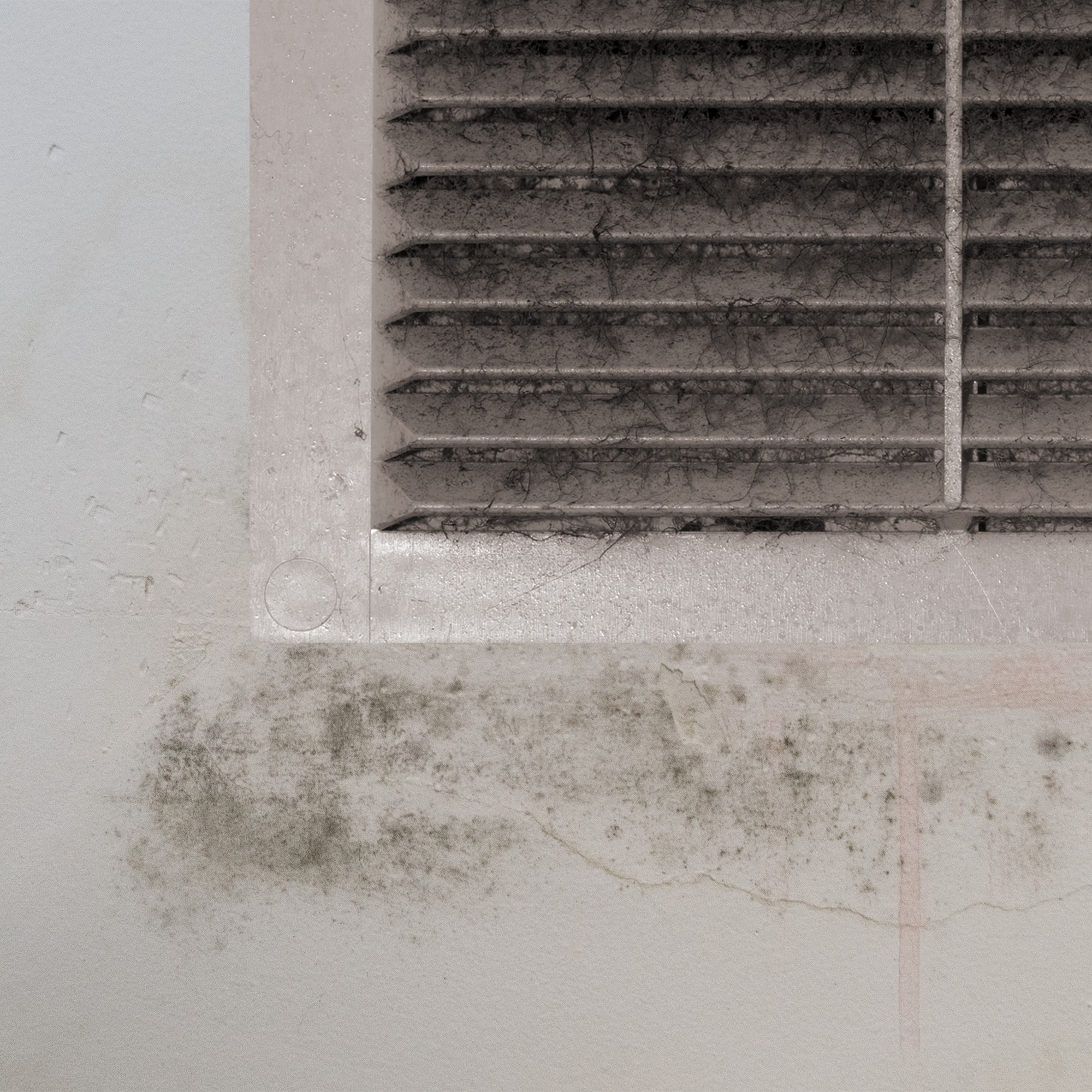 Black mold on white window sill and wall Air vent covers,air vent cover,Exhaust Fan Covers,air conditioner,exhaust fan,exhaust fan cover,exhaust fan cover exterior,kitchen vent cover,kitchen exhaust vent cover,kitchen exhaust fan cover magnetic,kitchen exhaust fan grill replacement,kitchen exhaust fan cover round,kitchen exhaust fan grill,Kitchen exhaust fan cover,kitchen exhaust fan cover replacement,kitchen exhaust fan grill replacement,kitchen exhaust fan outside cover,bathroom exhaust fan cover with light,bathroom exhaust fan with led light,bathroom exhaust fan cover replacement,bathroom exhaust fan with heater,bathroom exhaust fan cover plate,bathroom exhaust fan with light,bathroom exhaust fan cover,bathroom exhaust vent cover,bathroom fan vent covers,bathroom vent covers,bathroom fan replacement,bathroom fan replacement cover,bathroom fan covers,bathroom exhaust fan,bathroom vent fan,bathroom air vent,bathroom vent,bathroom fan,extractor fan bathroom,bathroom exhaust vent,bathroom exhaust fan grill,bathroom exhaust fan cover grill,bathroom ceiling fan cover plate,bathroom exhaust fan venting options,bath fan grill,Exhaust fan cover replacement,exhaust fan cover outside,ceiling fan cover,12 inch exhaust fan cover,ceiling fan cover plate,exhaust fan outside cover,exhaust fan cover exterior,exhaust grill,exhaust fan cover with light,exhaust fan cover kitchen,exhaust fan cover bathroom,exhaust fan grill cover,decorative kitchen exhaust fan covers,ceiling fan cover plate,ceiling exhaust fan,ceiling fan cover,ceiling fan covers,kitchen vent cover,Exhaust fan cover replacement,replacement bathroom fan cover,extractor fan cover for the outside,exhaust fan cover for bathroom,bathroom fan grill replacement,replacement bathroom fan cover,replacement bathroom fan,ventless bathroom fan,home exhaust fan,magnetic fan,fan,fan cover, bathroom exhaust fan cover,bathroom vent cover,Exhaust Fan Cover,Exhaust Fan Covers,Fan Cover,bathroom exhaust fan cover replacement,bathroom vent cover replacement,Exhaust Fan Cover installation,Exhaust Fan Cover replacement,Fan Cover installation,Fan Cover replacement,bathroom exhaust fan cover sizes,bathroom vent cover sizes,Exhaust Fan Cover sizes,Fan Cover sizes,decorative bathroom exhaust fan cover,decorative bathroom vent cover,decorative Exhaust Fan Cover,decorative Exhaust Fan Covers,decorative Fan Cover,white bathroom exhaust fan cover,white bathroom vent cover,white Exhaust Fan Cover,white Exhaust Fan Covers,white Fan Cover,plastic bathroom exhaust fan cover,plastic bathroom vent cover,plastic Exhaust Fan Cover,plastic Exhaust Fan Covers,plastic Fan Cover,exhaust cover,exhaust fan cover plate,